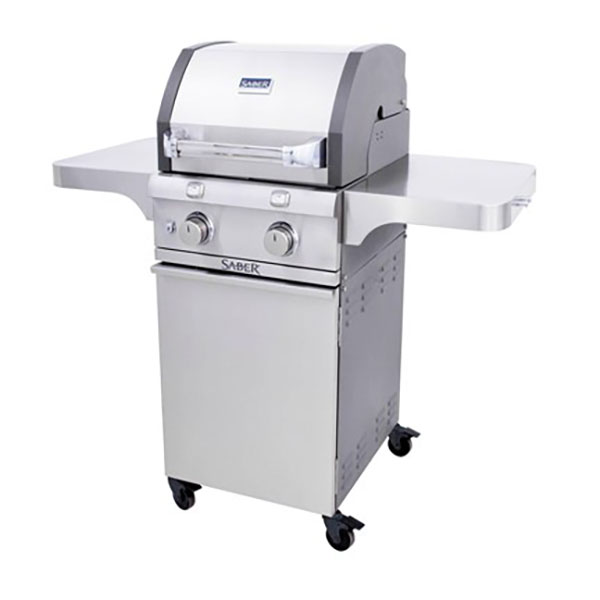 Deluxe Stainless 2-Burner Gas Grill