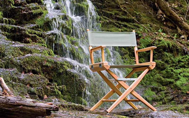 World Famous Director Chair